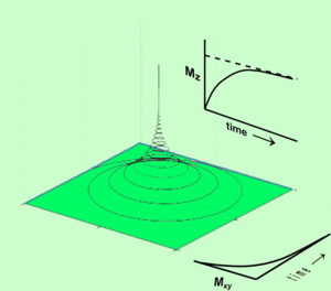 Bloch solution.gif